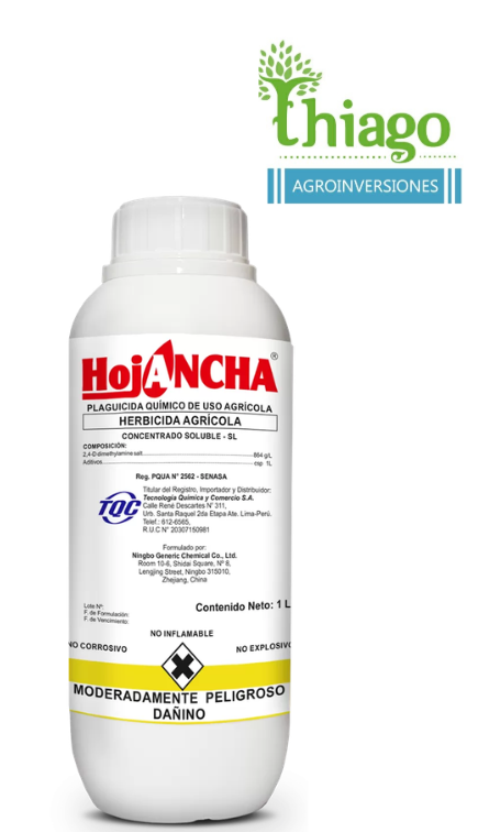 Sugerencia: HOJANCHA X LT 