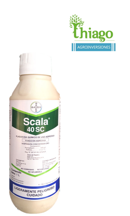 SCALA 40 SC X LT 