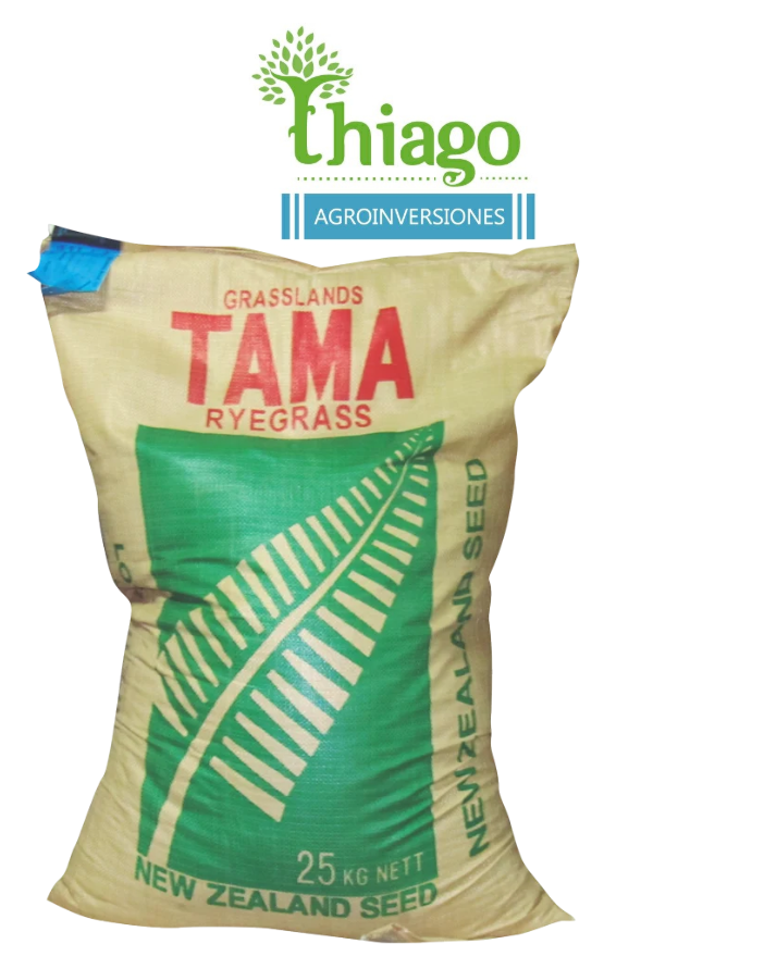 RYEGRASS TAMA (ANUAL) X 25 KG 