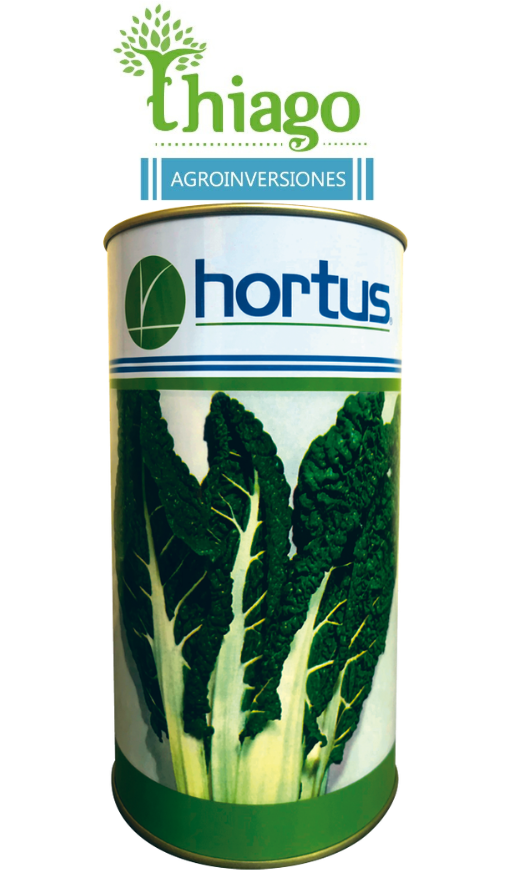 Sugerencia: ACELGA FORDHOOK GIANT X 500 GR