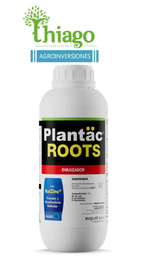 Sugerencia: PLANTAC ROOTS X LT 