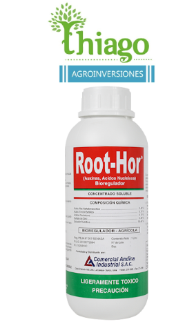 Sugerencia: ROOT - HOR X LT