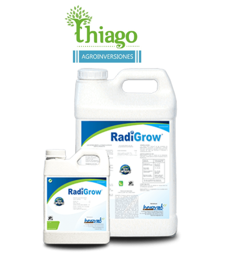 Sugerencia: RADIGROW XL X LT 