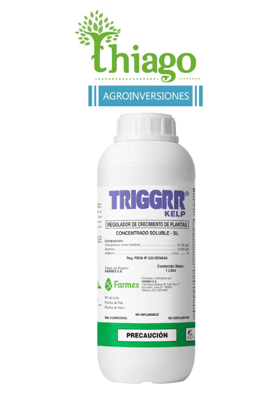 TRIGGRR KELP X LT 
