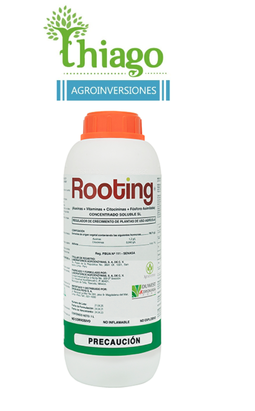 ROOTING X LT