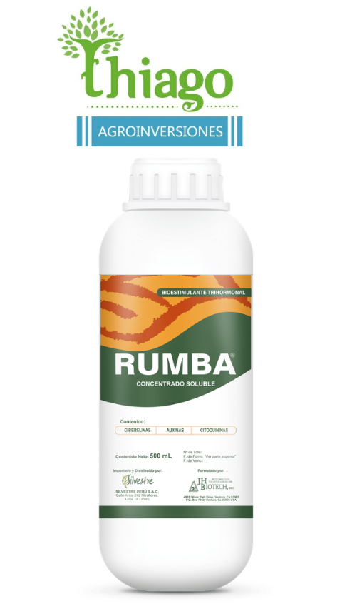 Sugerencia: RUMBA X LT