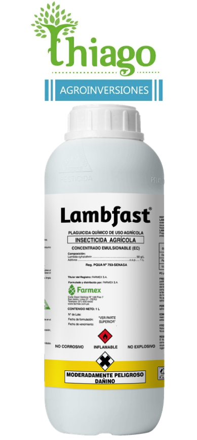 LAMBFAST X LT 
