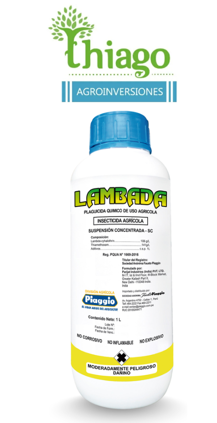 LAMBADA X LT 