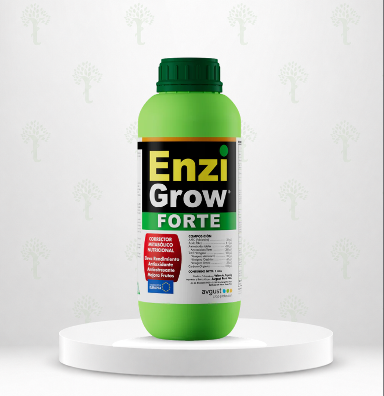 ENZIGROW FORTE X LT 