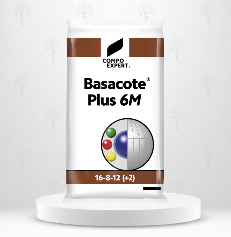 BASACOTE PLUS 6 M X 25 KG 