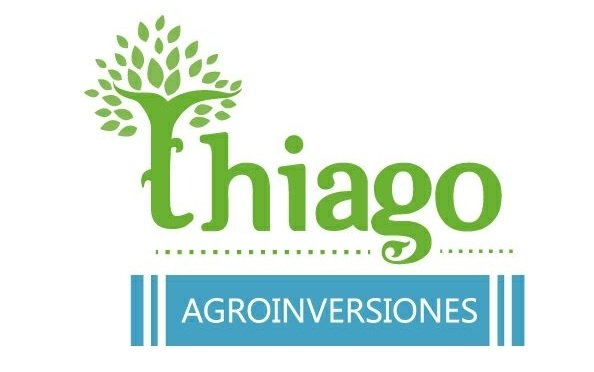 Certificado 1
